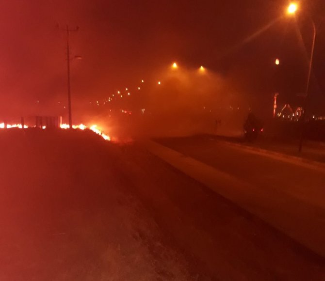Anız yangını: 4 kişi dumandan zehirlendi