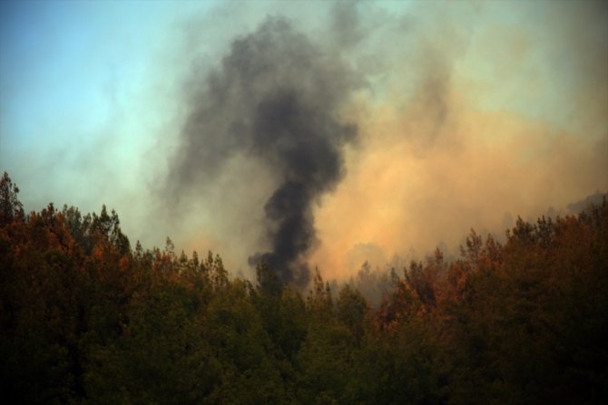 Mersin'de iki ilçede çıkan orman yangınlarına müdahale sürüyor