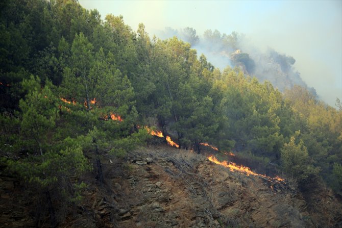 Mersin'de iki ilçede çıkan orman yangınlarına müdahale sürüyor