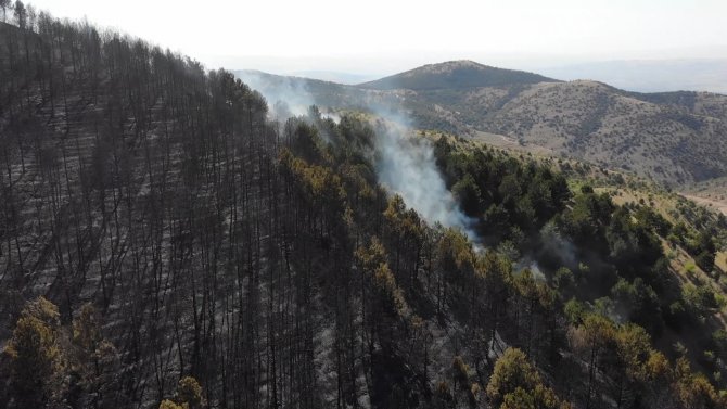 Orman yangını: 10 dönümlük alan küle döndü