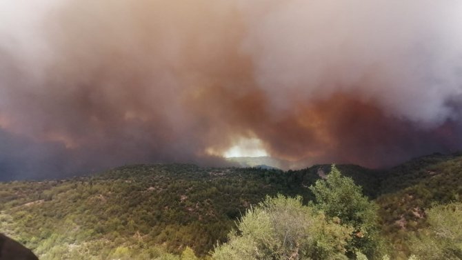 Orman yangını büyüyor