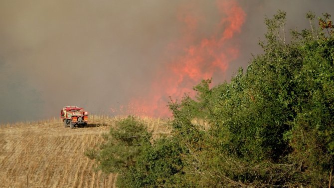 Orman yangınını söndürme çalışmaları sürüyor