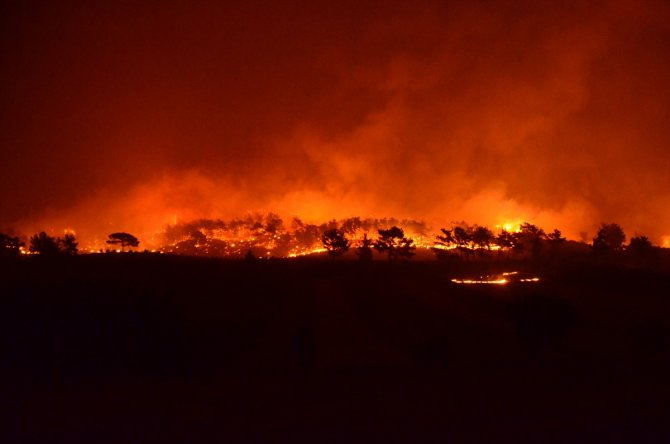 Antalya'nın Akseki ilçesinde orman yangını çıktı
