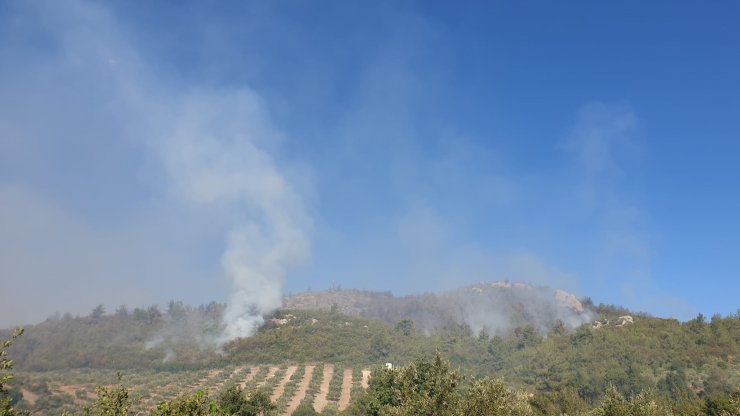Osmaniye'deki orman yangınında 2'nci gün; havadan müdahale yeniden başladı