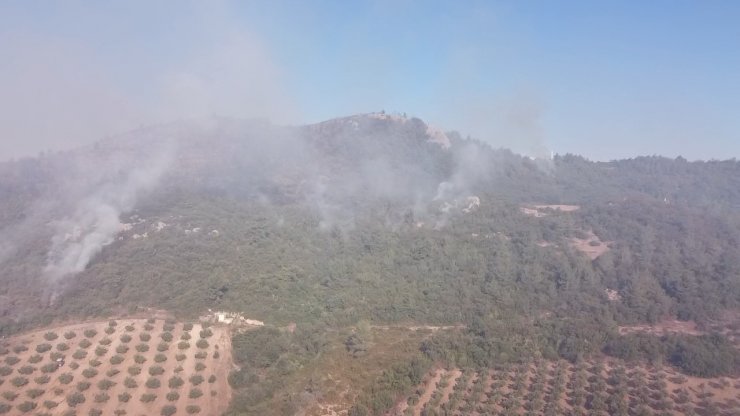 Osmaniye'deki orman yangınında 2'nci gün; havadan müdahale yeniden başladı