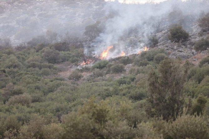 Adana Yüreğir'de makilik ve ormanlık alanda çıkan yangın kontrol altına alındı