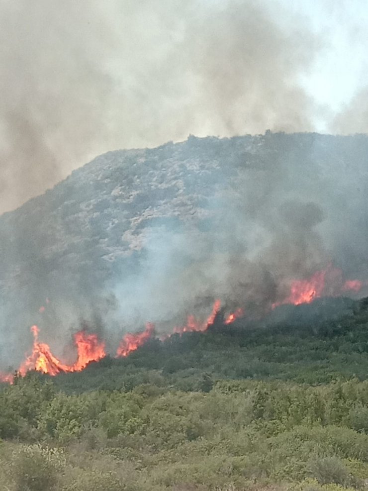 Adana’da 4 ilçedeki 6 noktada orman yangını sürüyor