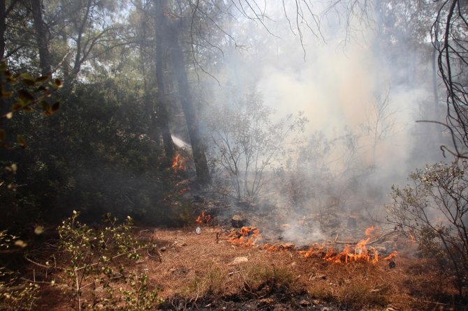 Bodrum’daki yangın bölgesinde risk devam ediyor