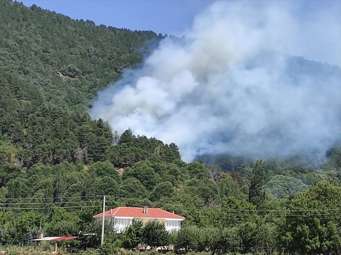 İzmir'de çıkan orman yangını kontrol altına alındı