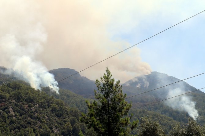 Köyceğiz’deki orman yangını devam ediyor