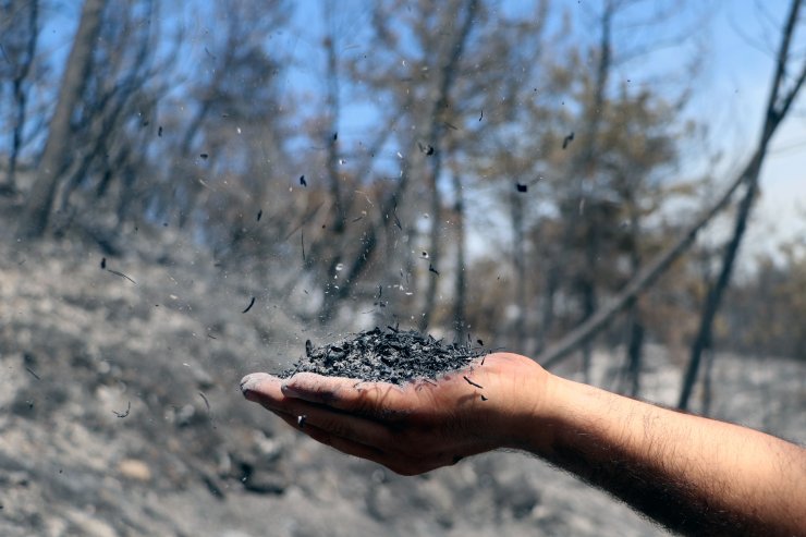 Osmaniye'deki orman yangınının 3'üncü günde hızı kesildi