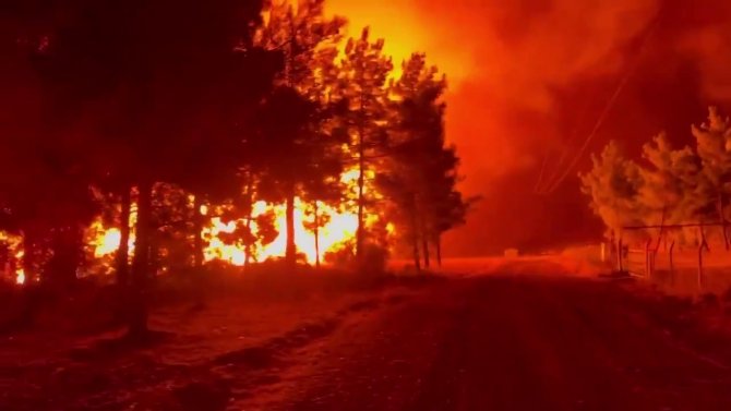 Adana'daki yangına müdahale sürüyor