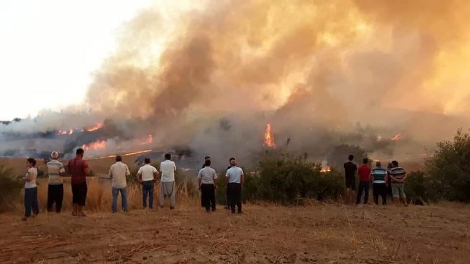 Adana'daki yangına müdahale sürüyor