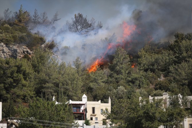 Bodrum'da makilik ve ormanlık alanda çıkan yangına müdahale ediliyor