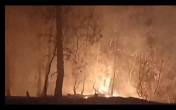 Orman yangını; 7 hektarlık alan zarar gördü