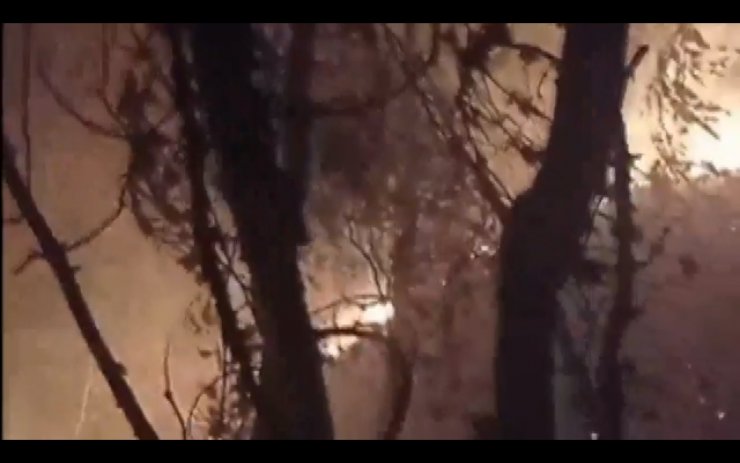 Orman yangını; 7 hektarlık alan zarar gördü