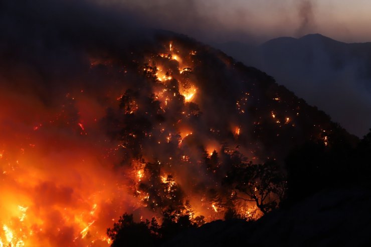 Mersin’deki orman yangınlarının tamamı kontrol altında