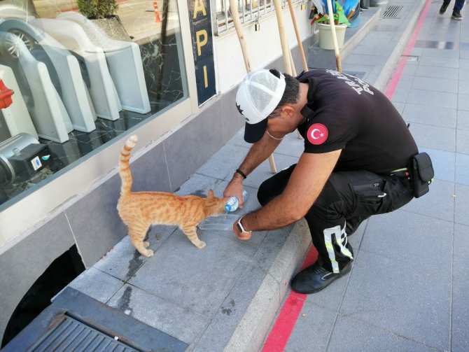 Polisin hayvan sevgisi yürekleri ısıttı