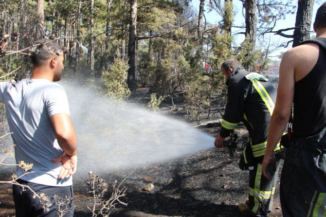 Vatandaşların kazma küreklerle koştuğu orman yangını söndürüldü