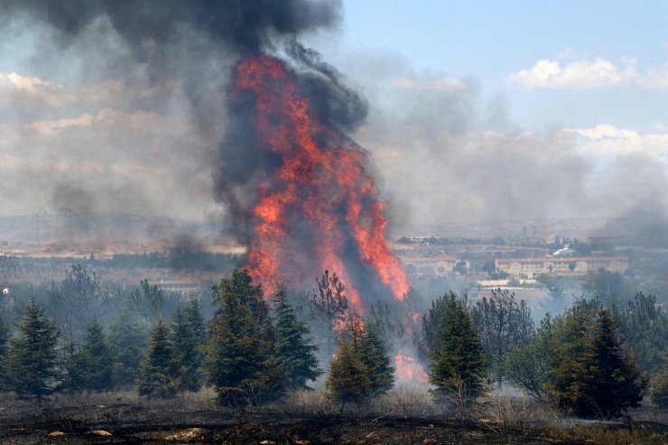 Atatürk Orman Çiftliği'ndeki yangın soruşturmasında jet iddianame
