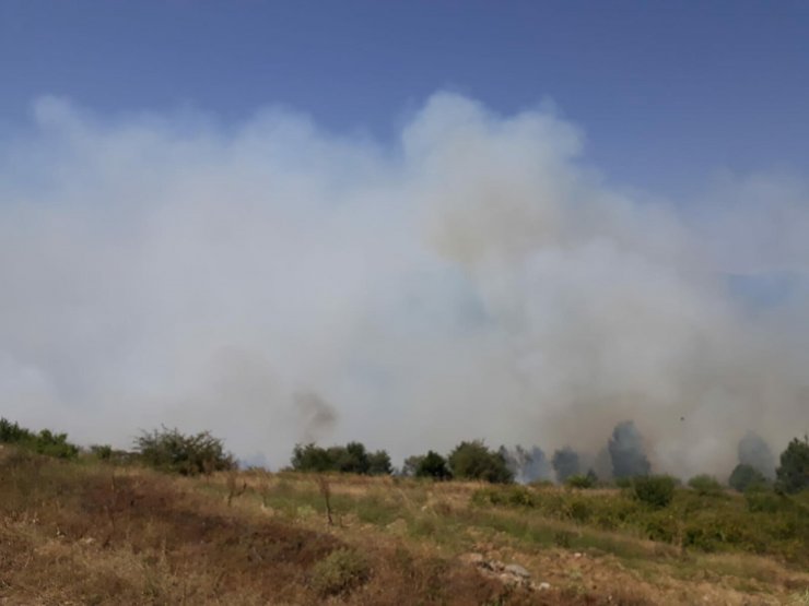 Buldan'da 2 hektar ormanlık alan yandı