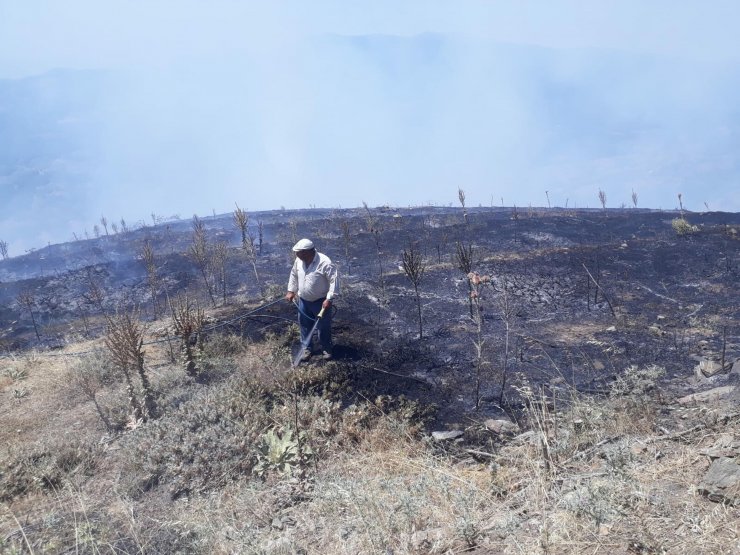 Buldan'da 2 hektar ormanlık alan yandı