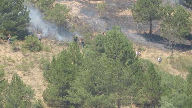Çıkan 2 orman yangını kontrol altına alındı