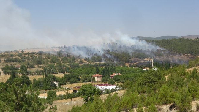 Çıkan 2 orman yangını kontrol altına alındı