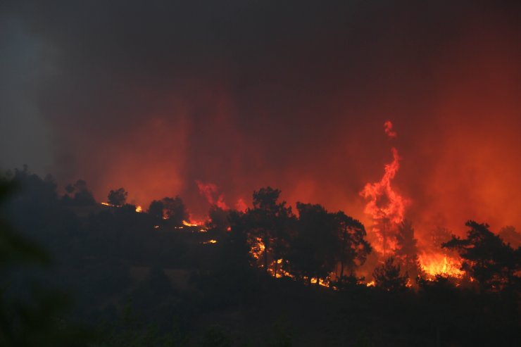 Manavgat'taki büyük yangın 7'nci gününde
