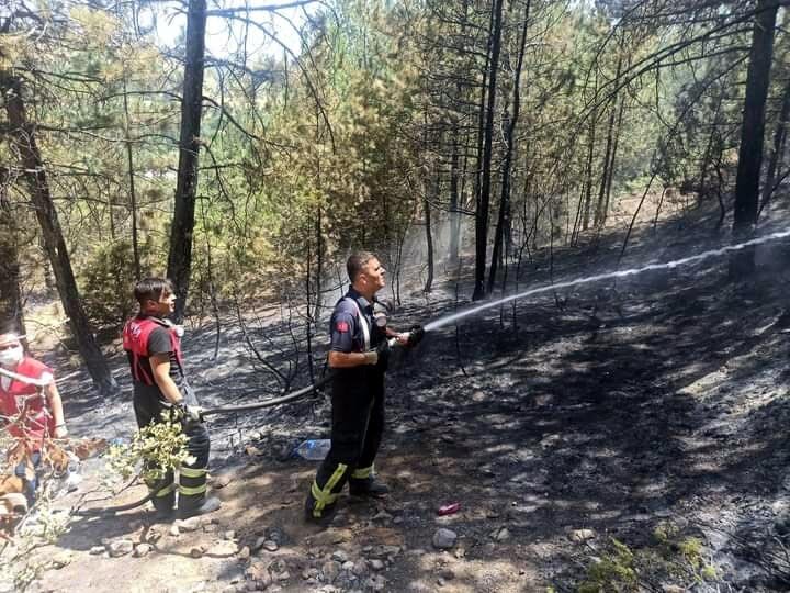 Uşak'ta 2 noktada orman yangını; 8 hektar alan yandı