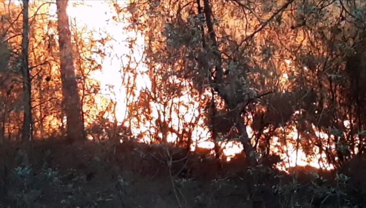 Karabük'de 10 dönüm orman yandı 