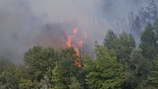 Karabük’te ormanlık alanda yangın çıktı