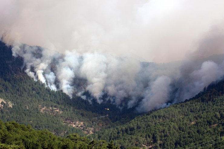 Manavgat'taki büyük yangın 8'inci gününde