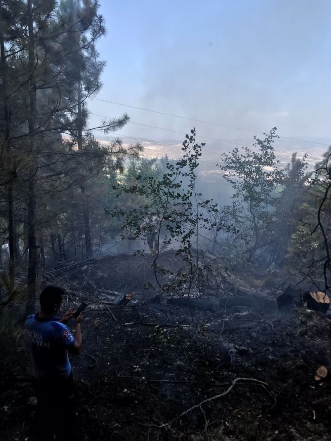 Orman yangını paniği