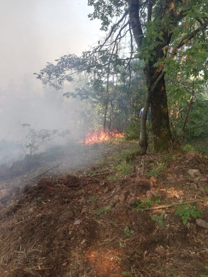 Orman yangını paniği