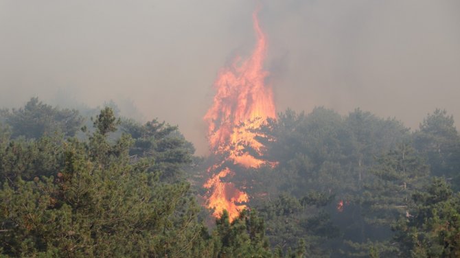 5 orman yangını tamamen söndürüldü