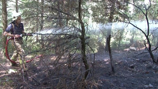 Aydos Ormanı’nda küçük çaplı yangın çıktı