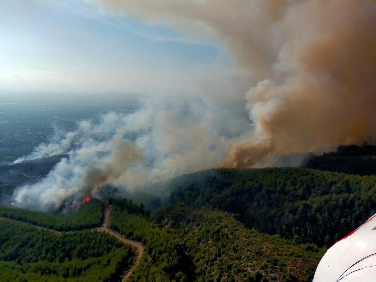 Orman yangınında 15 hektar alan zarar gördü