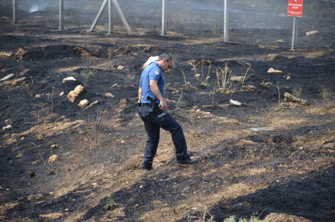 Yangının ortasında kalan kaplumbağayı polisler kurtardı