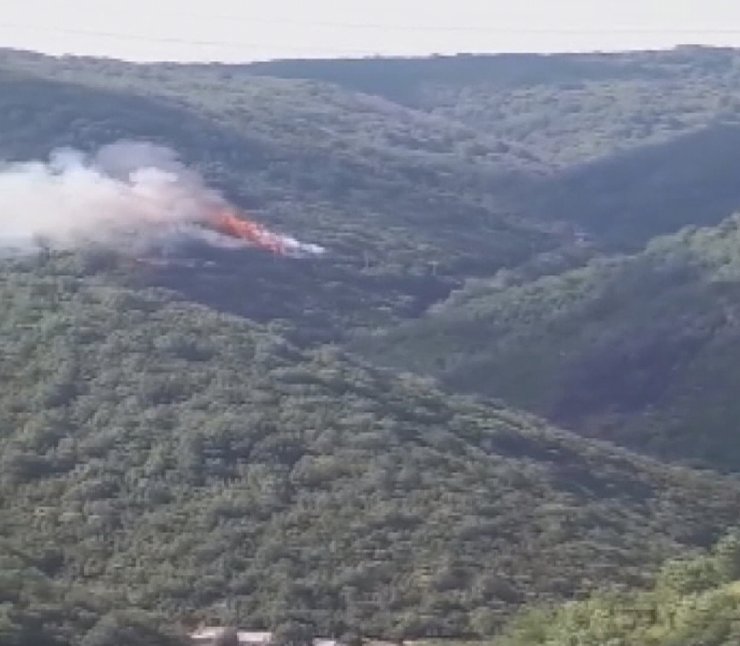 Aynı bölgede 3’üncü orman yangını