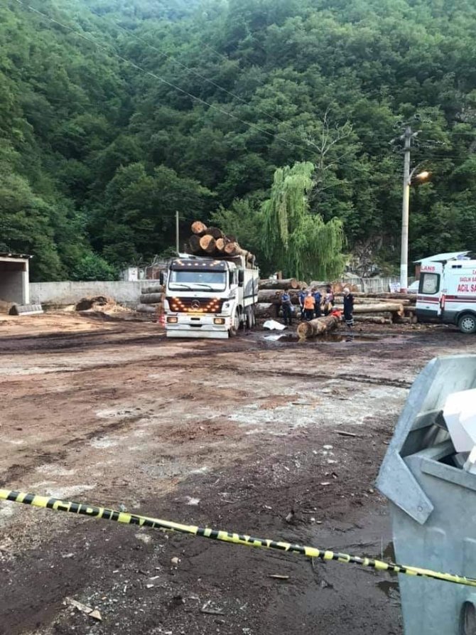 Üzerine tomruk düşen kamyon şoförü hayatını kaybetti