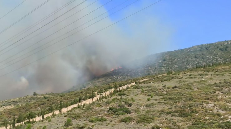 Orman yangınına 2 helikopterle havadan destek