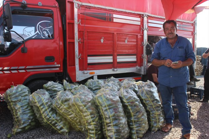 Karapınar'ın ham kavunları yurt dışına ihraç ediliyor