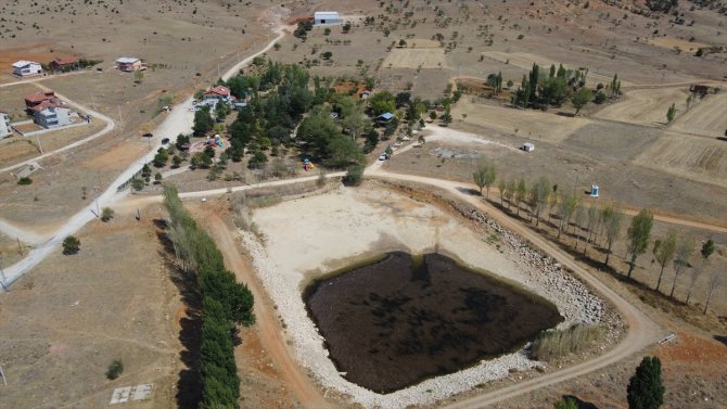 Konya'daki Balıklıpınar kuraklık nedeniyle kurumaya yüz tutunca, "efsanevi" balıkları da tehlikeye girdi