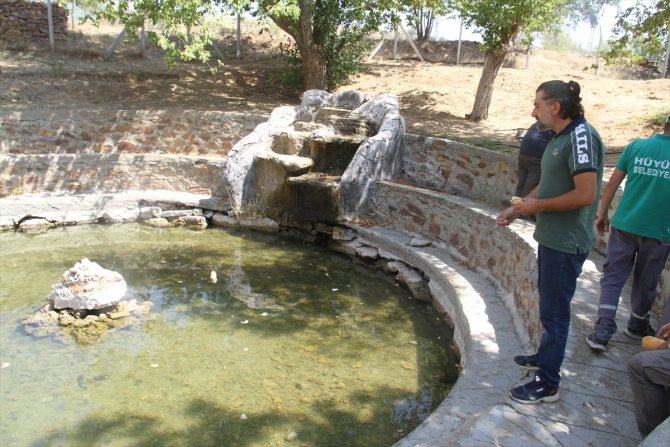 Konya'daki Balıklıpınar kuraklık nedeniyle kurumaya yüz tutunca, "efsanevi" balıkları da tehlikeye girdi