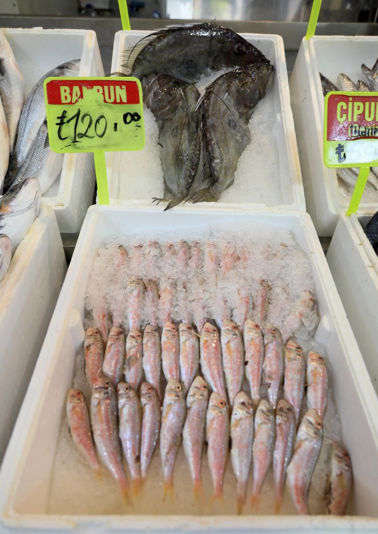 Av yasağı sonrası balık fiyatlarının yüzde 50 düşmesi bekleniyor