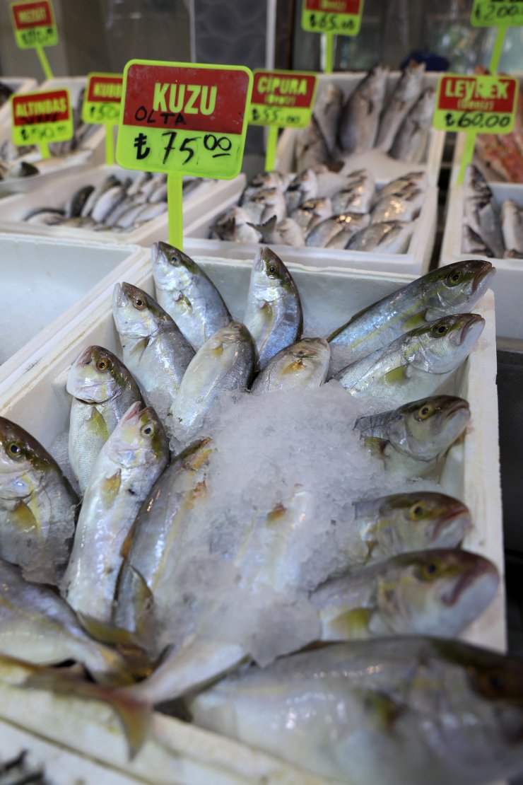 Av yasağı sonrası balık fiyatlarının yüzde 50 düşmesi bekleniyor