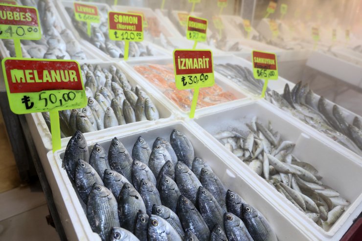 Av yasağı sonrası balık fiyatlarının yüzde 50 düşmesi bekleniyor
