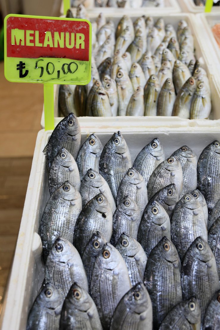 Av yasağı sonrası balık fiyatlarının yüzde 50 düşmesi bekleniyor