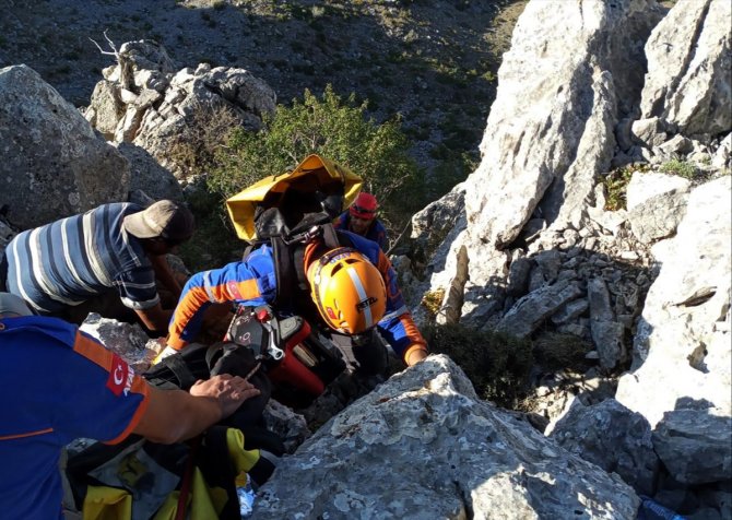 Konya'da kayalıklarda mahsur kalan oğlaklar AFAD ekiplerince kurtarıldı